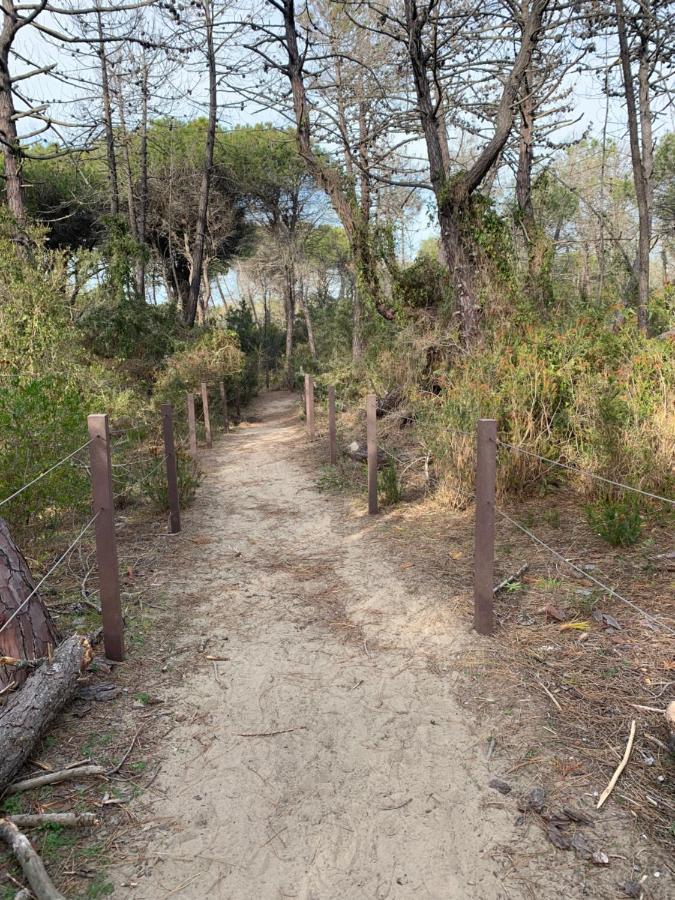 Residenza L'Ulivo Βίλα Alberese Εξωτερικό φωτογραφία